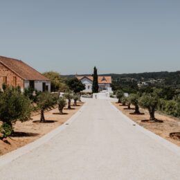 As nossas actividades